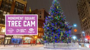 Monument Square Tree Cam