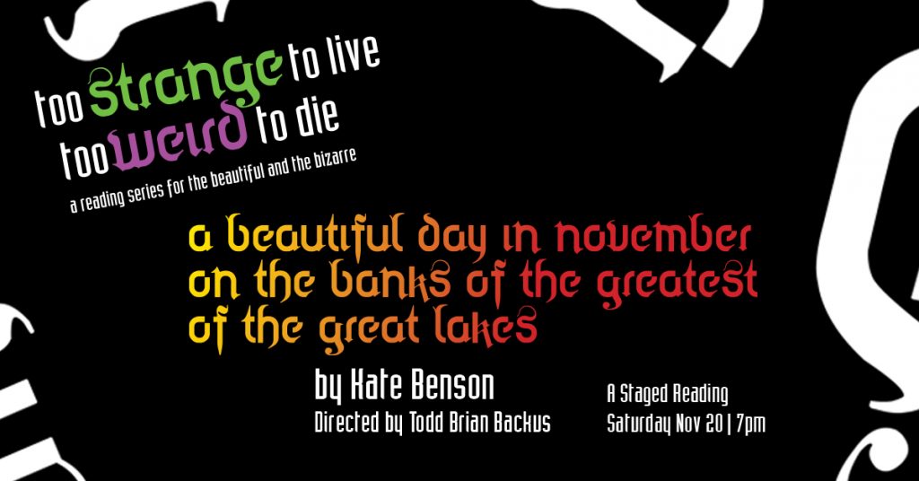 A Beautiful Day in November on the Banks of the Greatest of the Great Lakes by Kate Benson – A Play Reading