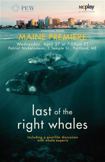 Last of the Right Whales – Maine Film Premiere