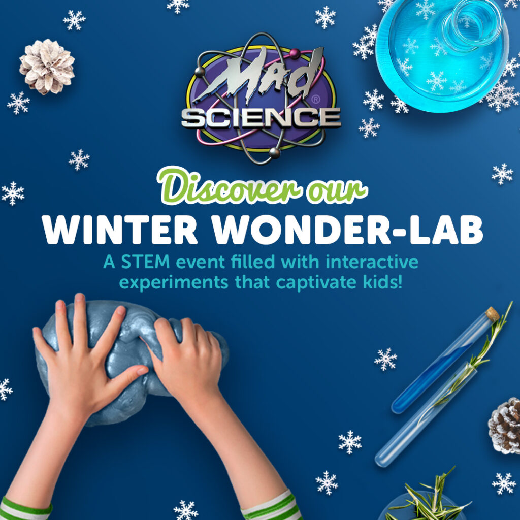 Mad Science Winter Wonder Lab Workshop