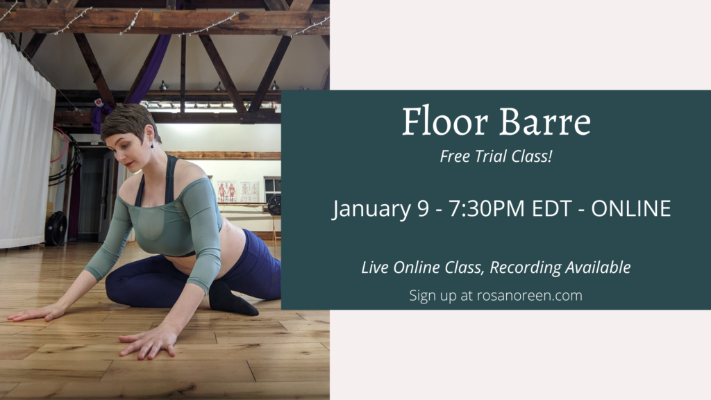 Floor Barre – FREE Floor Barre Class with Rosa – 1/9