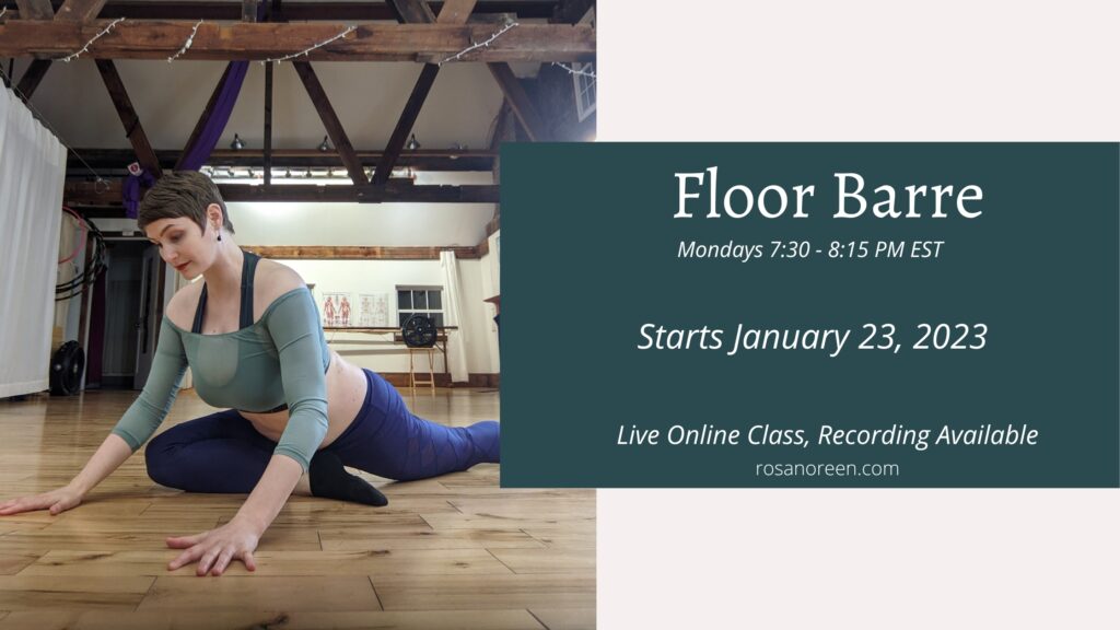 Floor Barre – Online with Rosa starts 1/23